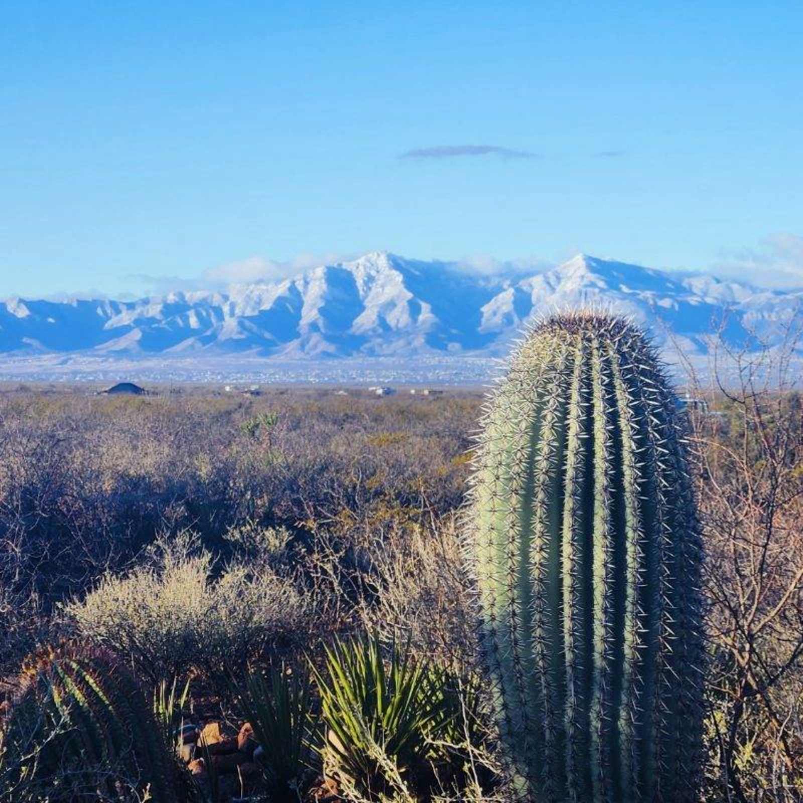 18+ Artists' Nature Retreat - glamping.directory