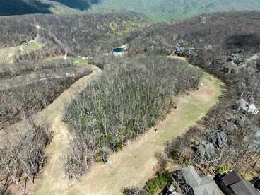 Luxury Ski-In/Ski-Out Lodge with Hot Tub near Blue Ridge Mountains, Wintergreen Resort VA - Wintergreen, Virginia - glamping.directory