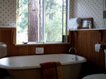 Spectacular Riverside Getaway Cabin with Claw Foot Bathtub in Castella, California - glamping.directory