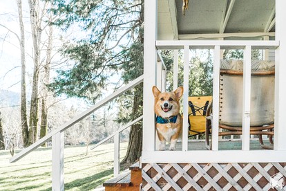 Spectacular Riverside Getaway Cabin with Claw Foot Bathtub in Castella, California - Castella, California - glamping.directory