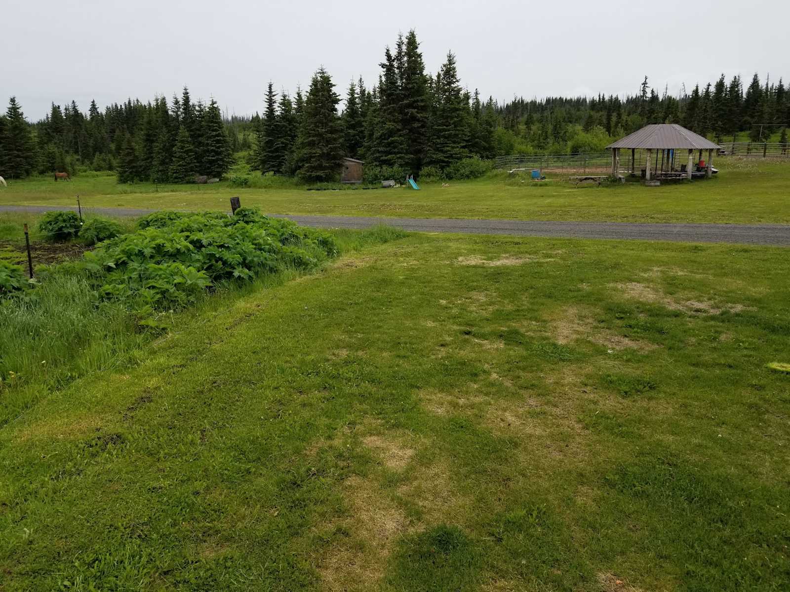 Lazy J Ranch - Homer, Alaska - glamping.directory