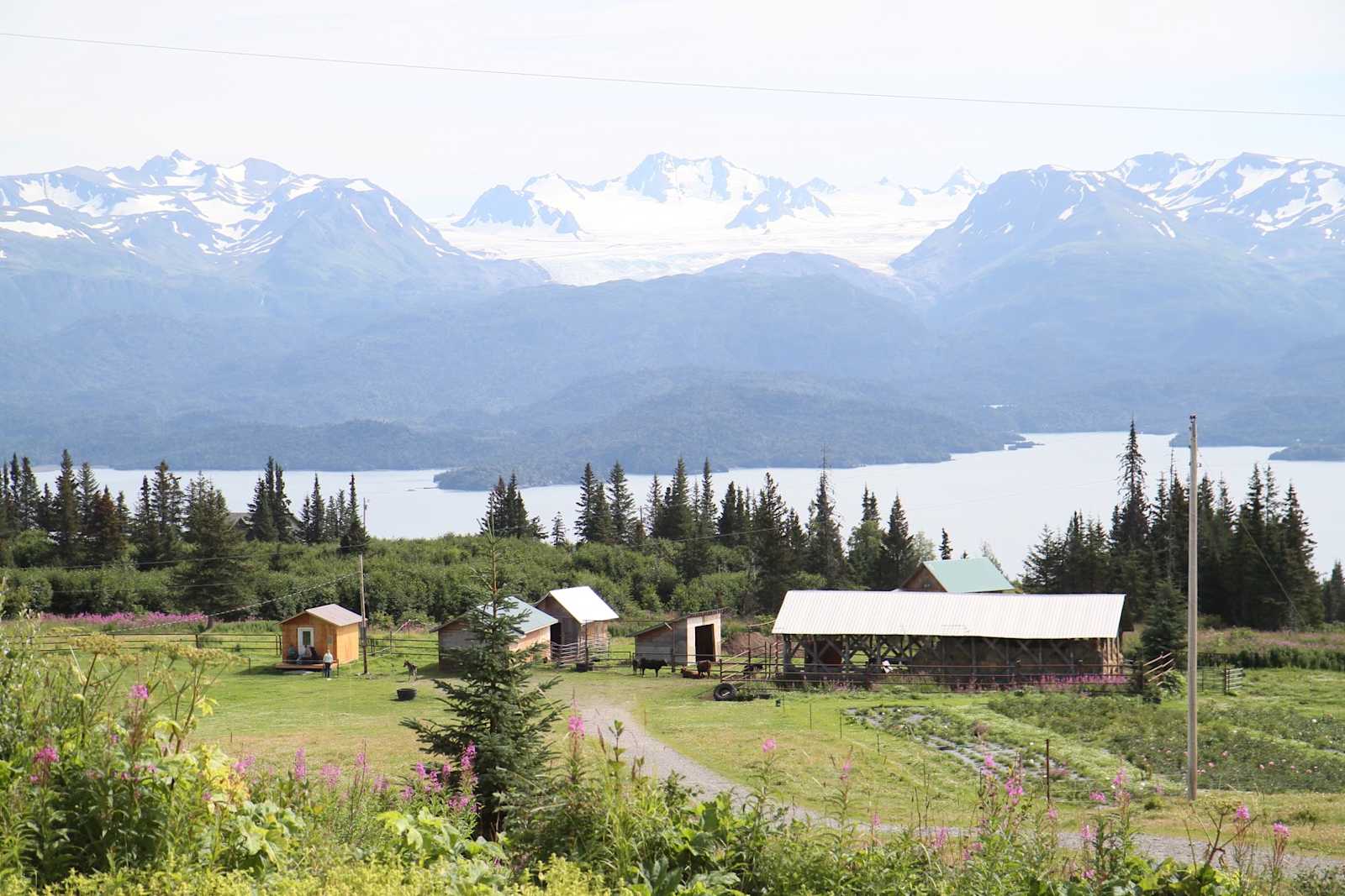 Lazy J Ranch - glamping.directory