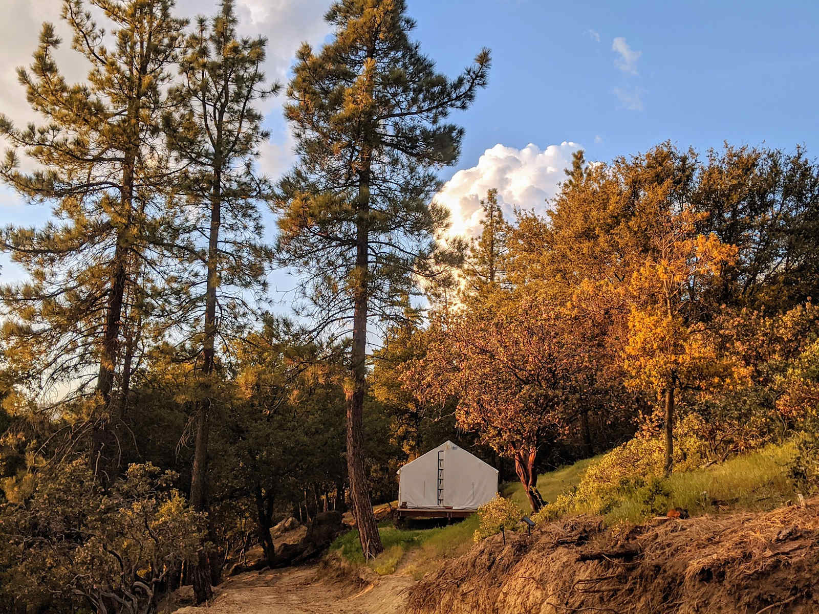 Serene forest privacy for 4WD - Idyllwild, California - glamping.directory