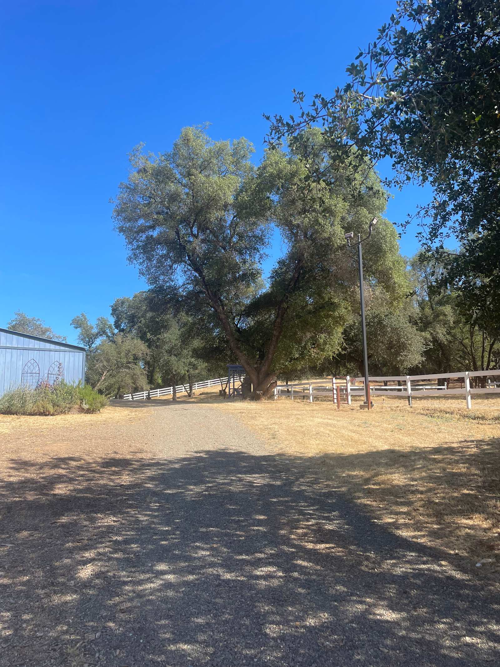 Wild Oak Retreat - El Dorado Hills, California - glamping.directory