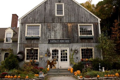 Cozy Bed and Breakfast Lodging near the Quabbin Reservoir, Massachusetts - Barre, Massachusetts - glamping.directory