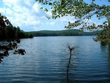 Cozy Bed and Breakfast Lodging near the Quabbin Reservoir, Massachusetts - Barre, Massachusetts - glamping.directory