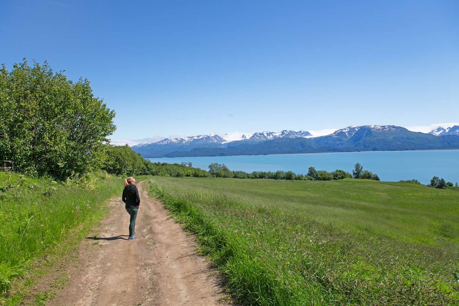 Kilcher Homestead MiracleMeadow - Homer, Alaska - glamping.directory