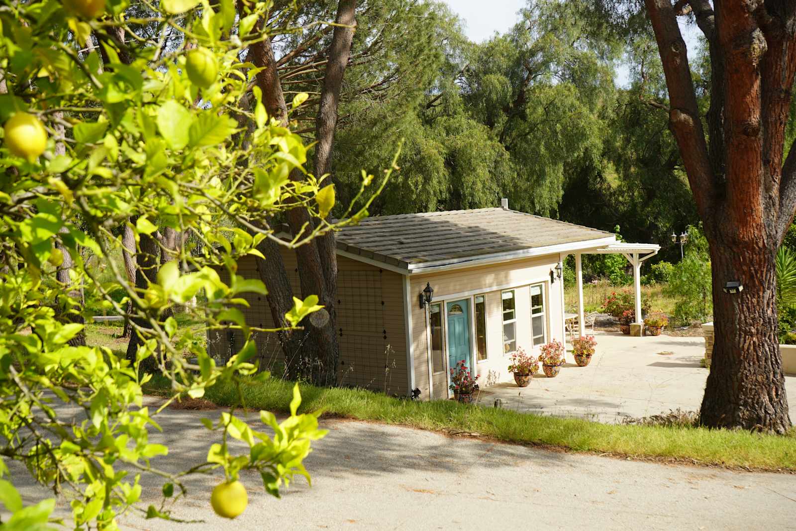 Zava Ranch - Avocado & Lemon Grove - Somis, California - glamping.directory