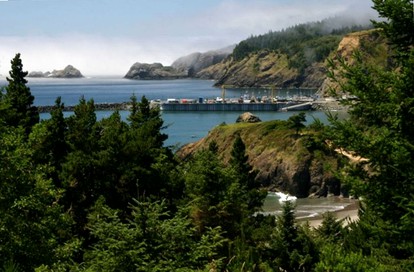 Stunning Cabin Rental with Incredible Ocean Views along the Oregon Coast - Port Orford, Oregon - glamping.directory