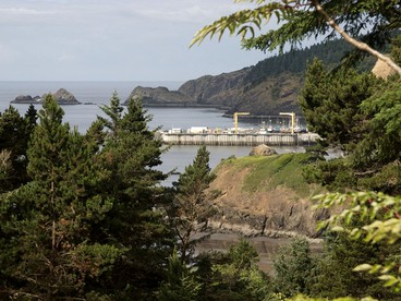 Stunning Cabin Rental with Incredible Ocean Views along the Oregon Coast - Port Orford, Oregon - glamping.directory