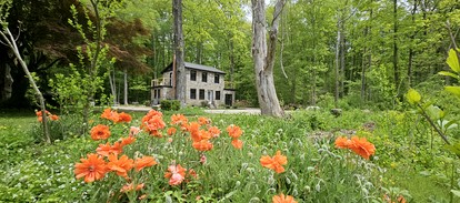 Enchanting Cottage Haven near Long Island Sound in Connecticut - Clinton, Connecticut - glamping.directory
