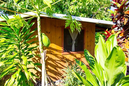 Intimate Retreat Cabin with Lush Surroundings in Pahoa on Hawaii's Big Island - Pahoa, Hawaii - glamping.directory
