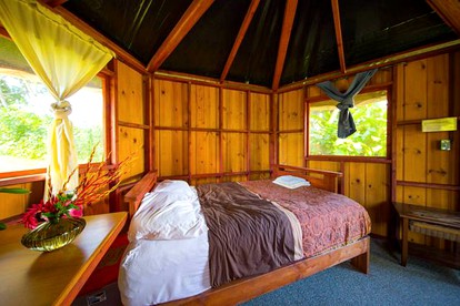 Intimate Retreat Cabin with Lush Surroundings in Pahoa on Hawaii's Big Island - Pahoa, Hawaii - glamping.directory