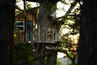 Adventures Await at this Stunning Tree House Retreat in Texas - Spicewood, Texas - glamping.directory