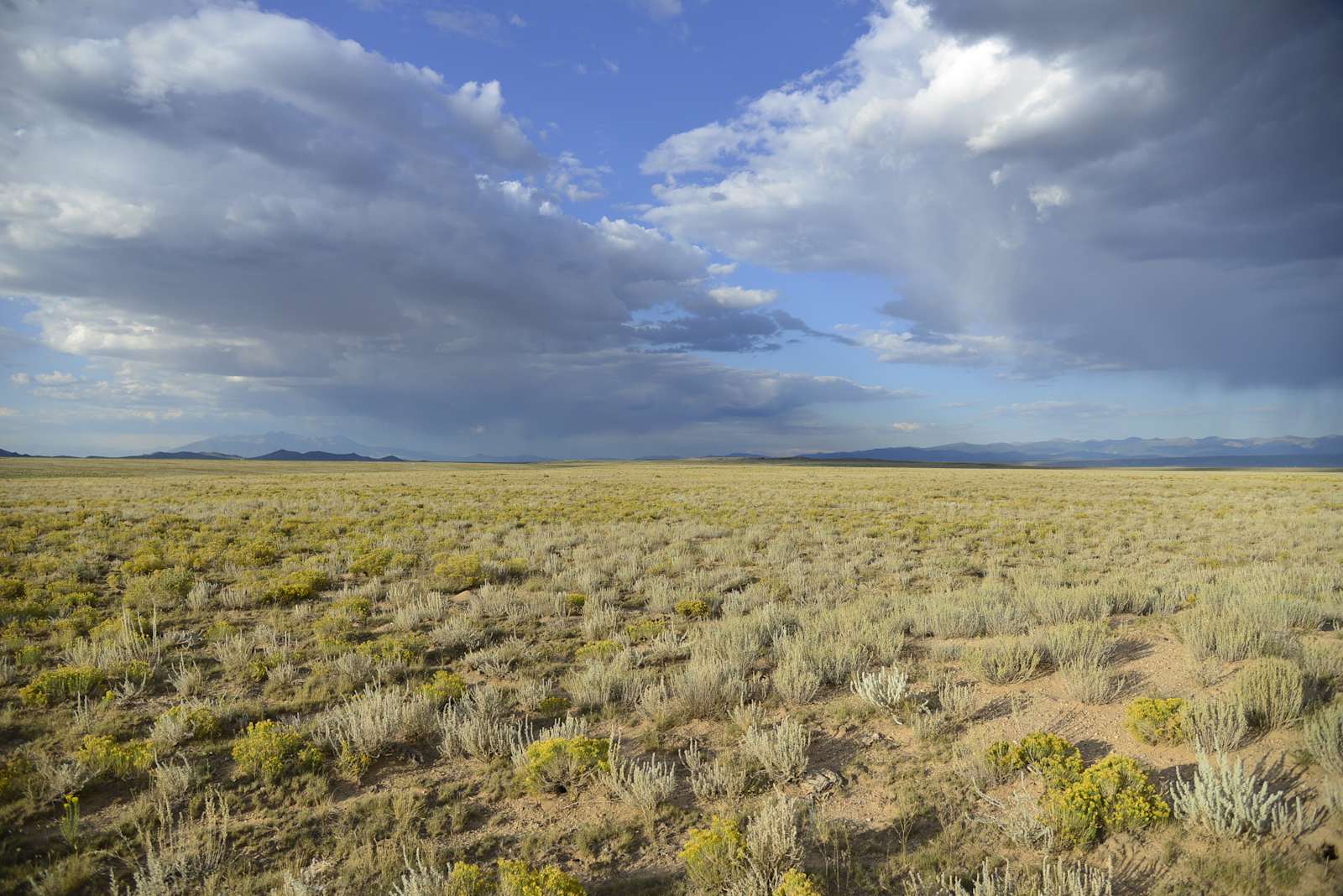 Colorado SLV - War Eagle! ๐ฆ
- Colorado - glamping.directory