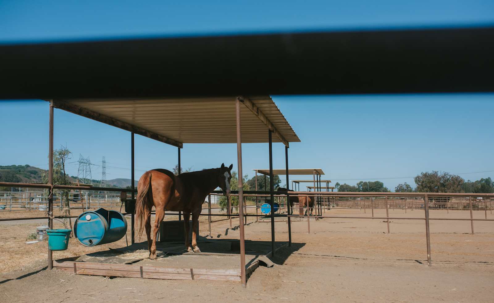 Organic farm and horse camp - Los Osos, California - glamping.directory