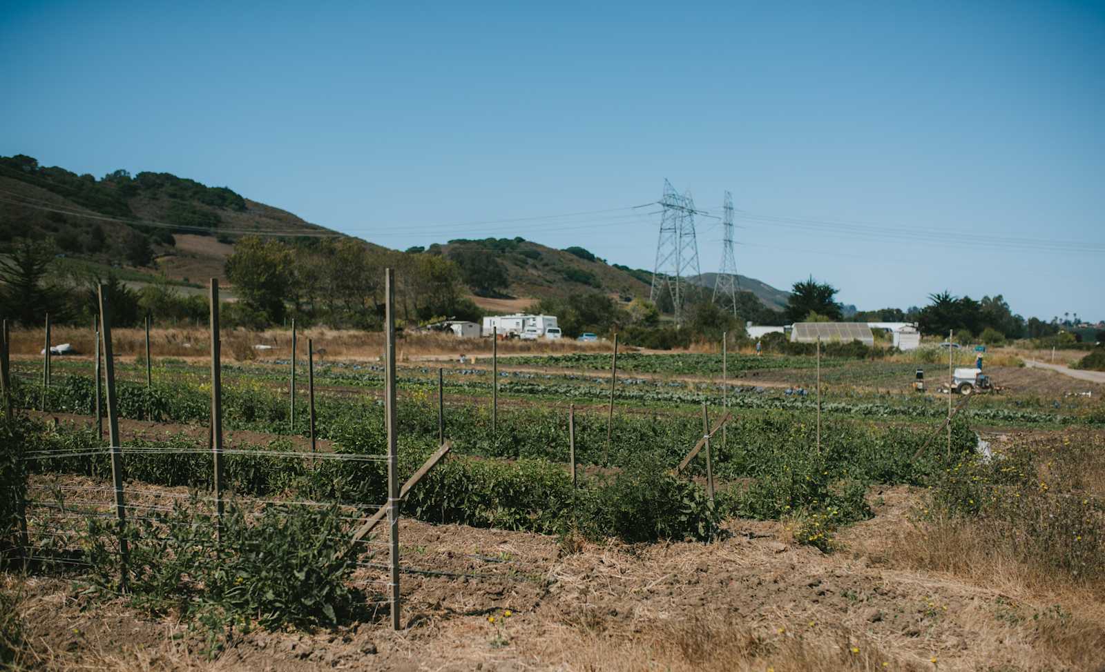 Organic farm and horse camp - Los Osos, California - glamping.directory