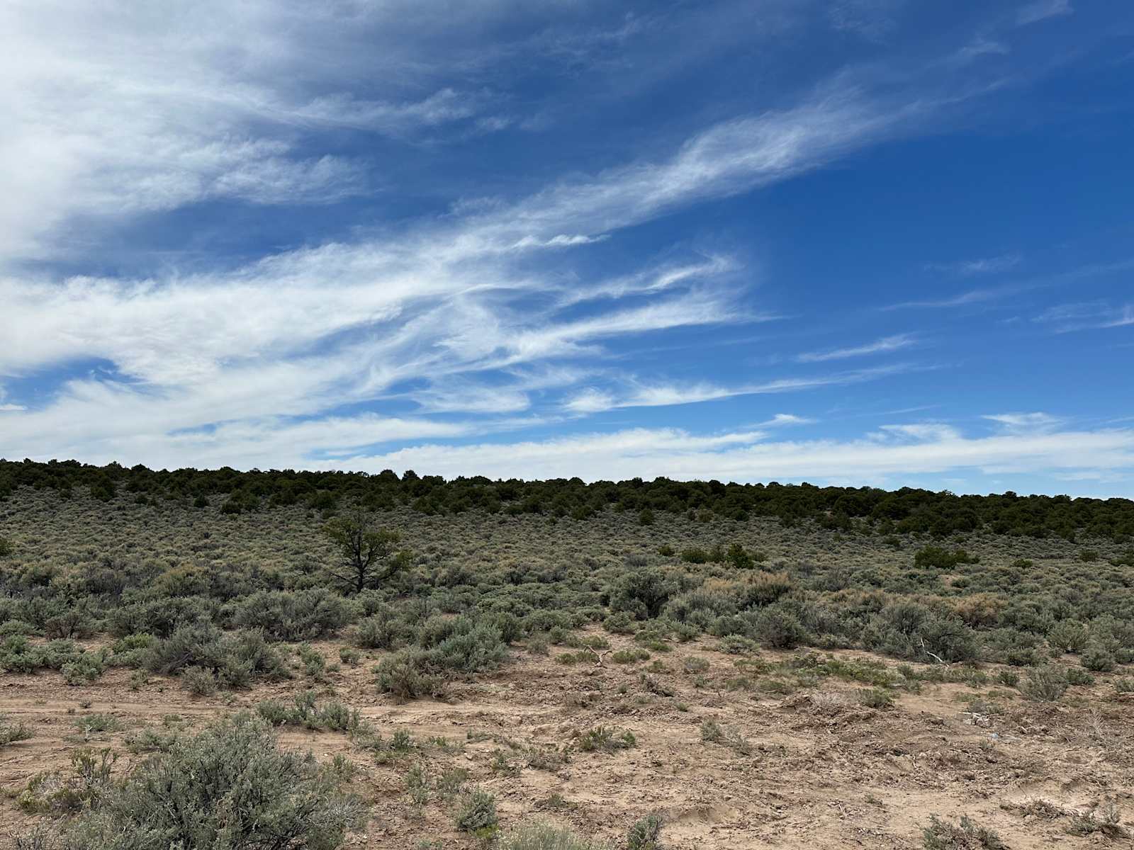 Iron Eagle Camgrounds - San Luis, Colorado - glamping.directory