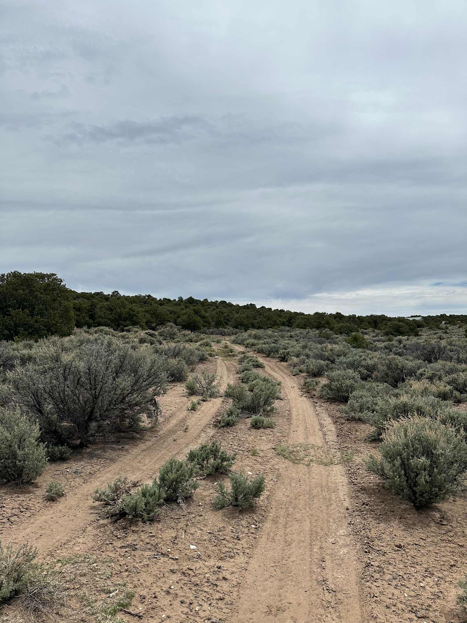 Iron Eagle Camgrounds - San Luis, Colorado - glamping.directory