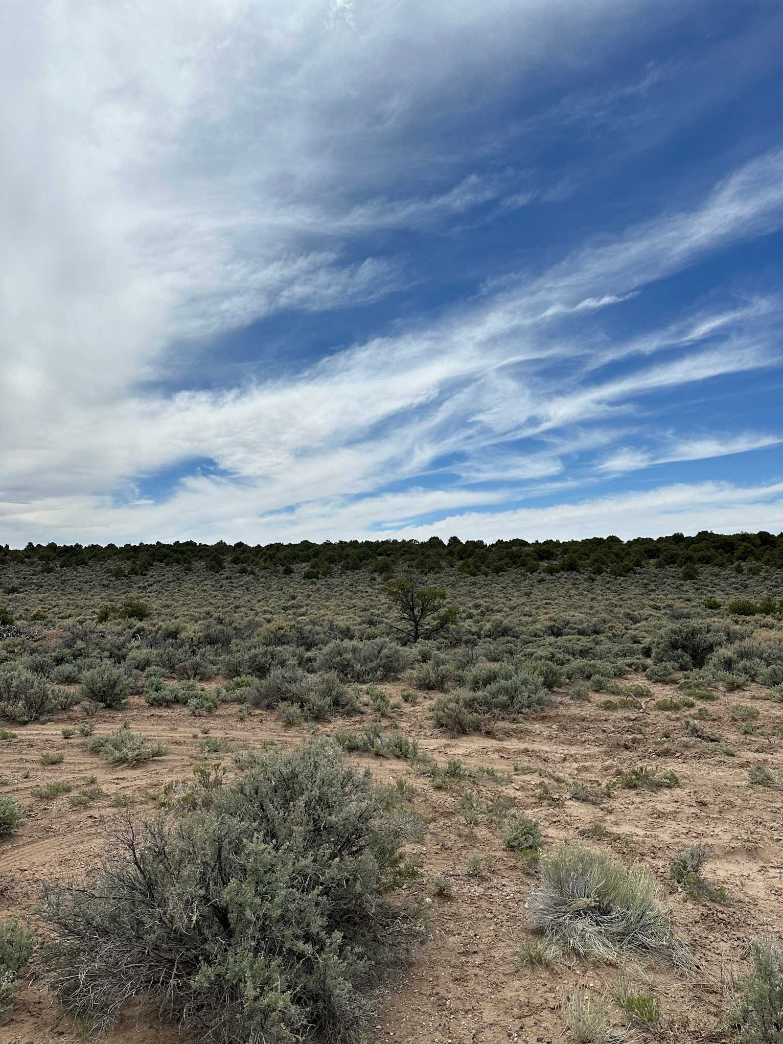 Iron Eagle Camgrounds - San Luis, Colorado - glamping.directory