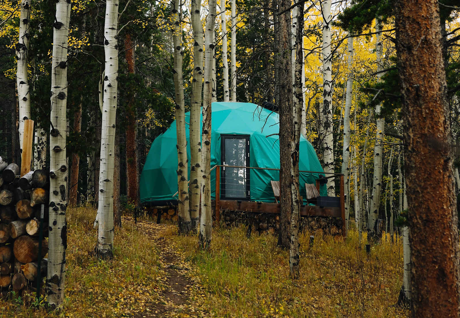 Aspen Forest in Evergreen Colorado - Evergreen, Colorado - glamping.directory