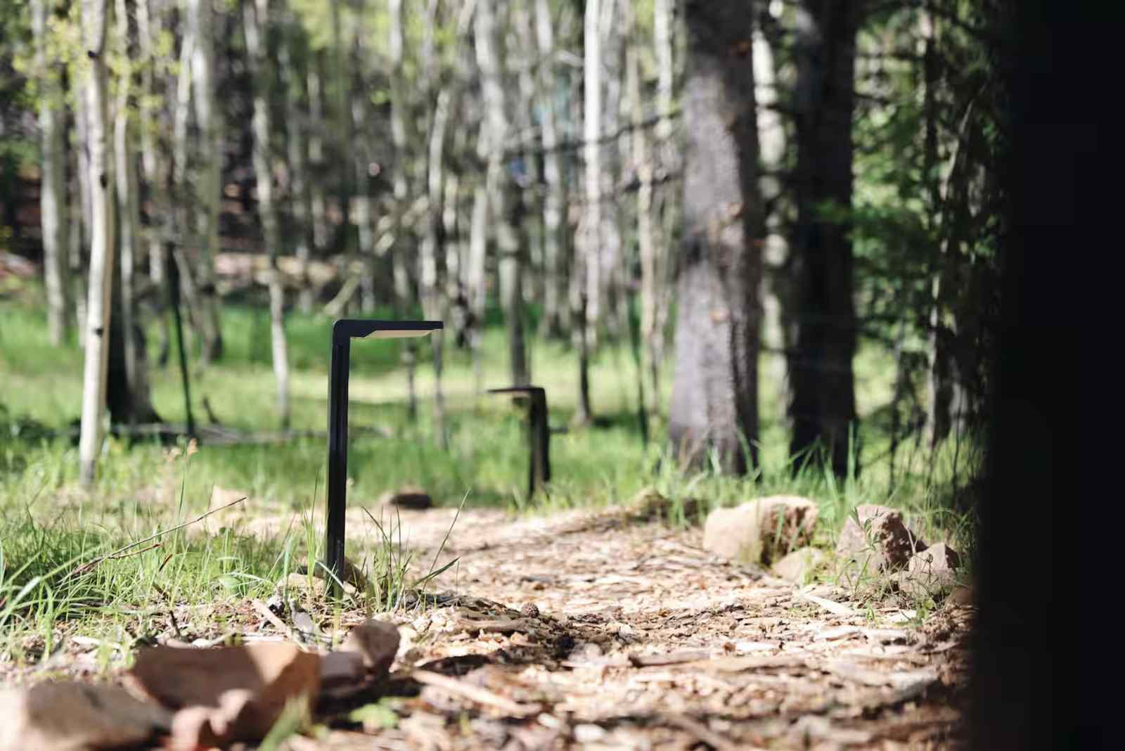 Aspen Forest in Evergreen Colorado - Evergreen, Colorado - glamping.directory