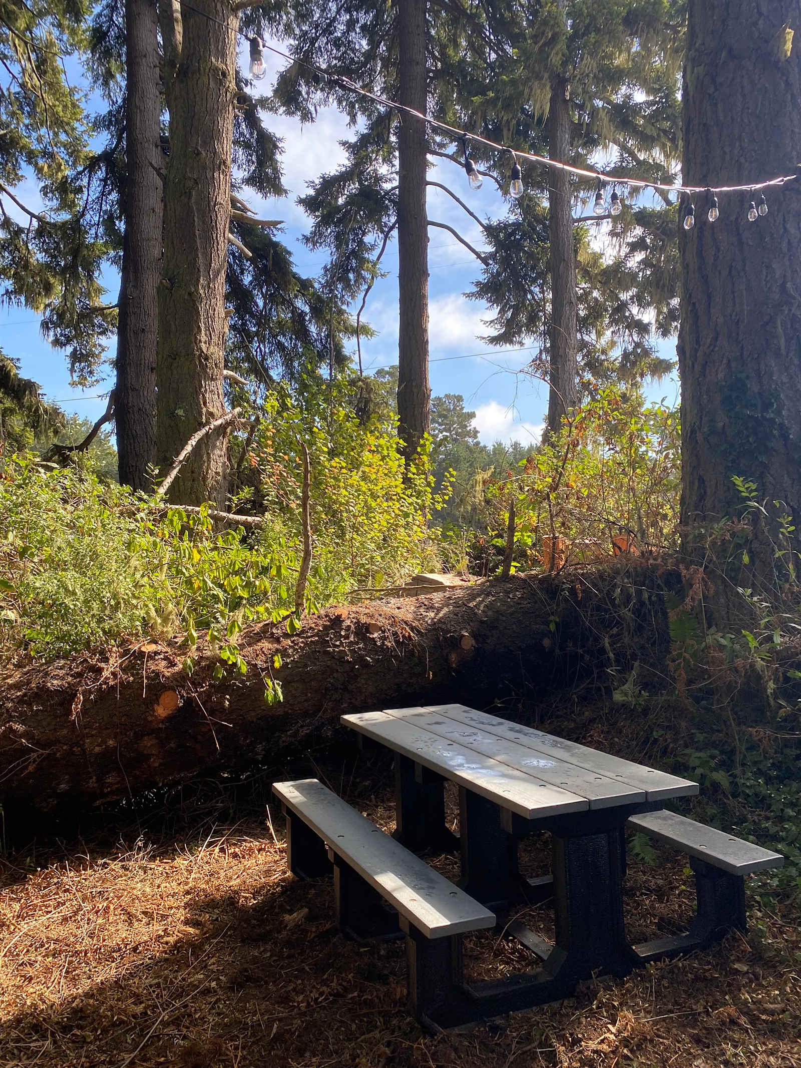 Camp Prairie - Mc Kinleyville, California - glamping.directory