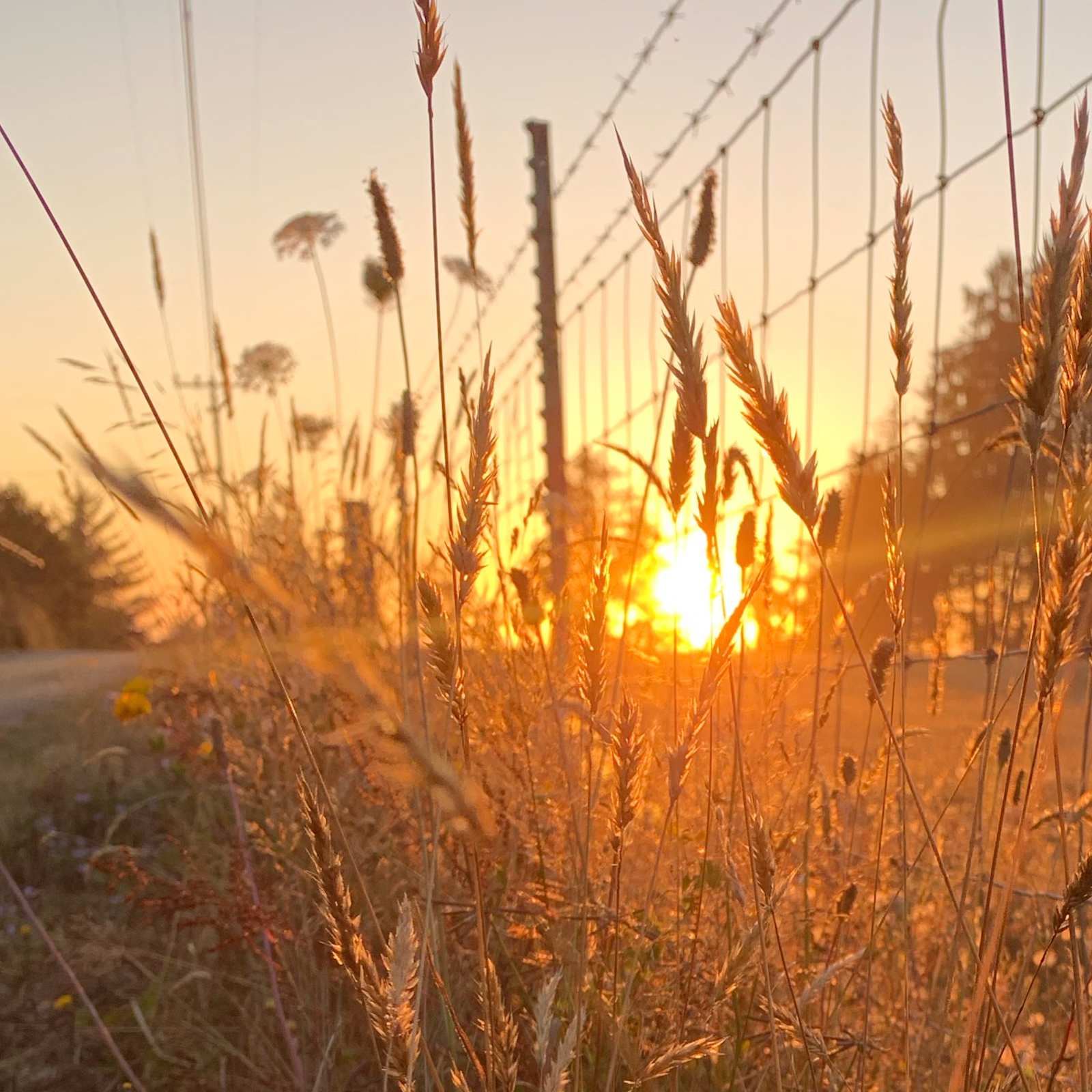 Camp Prairie - glamping.directory