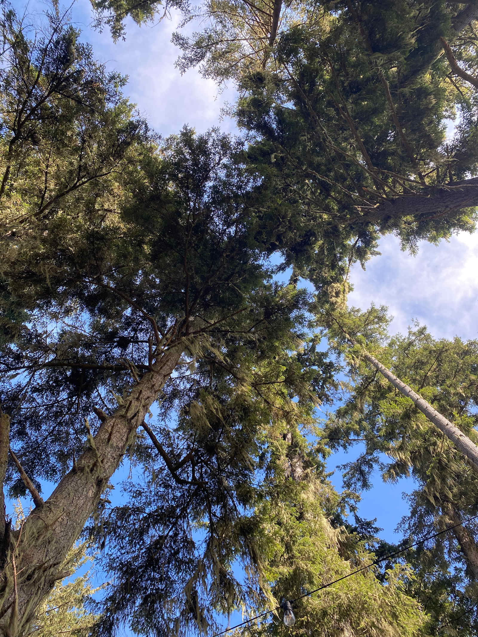 Camp Prairie - Mc Kinleyville, California - glamping.directory