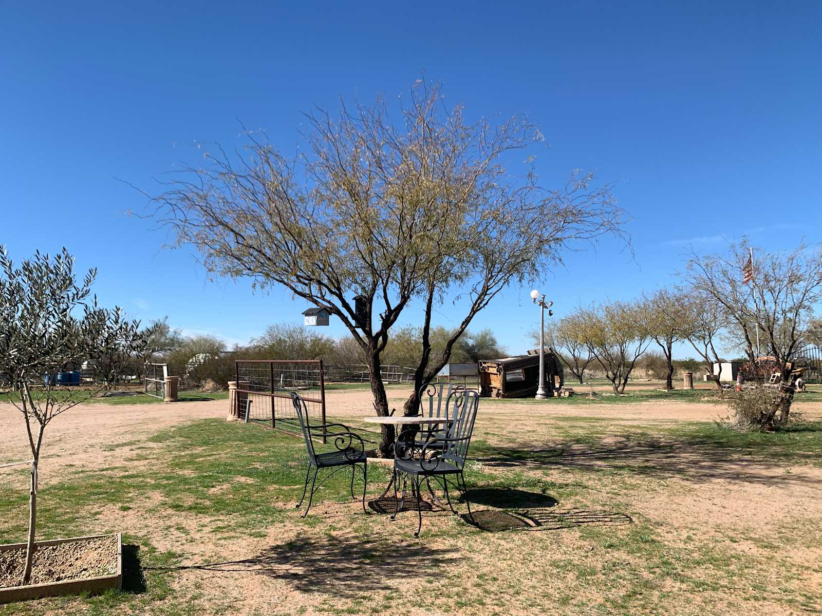 Picacho RV N Truck Park - Picacho, Arizona - glamping.directory