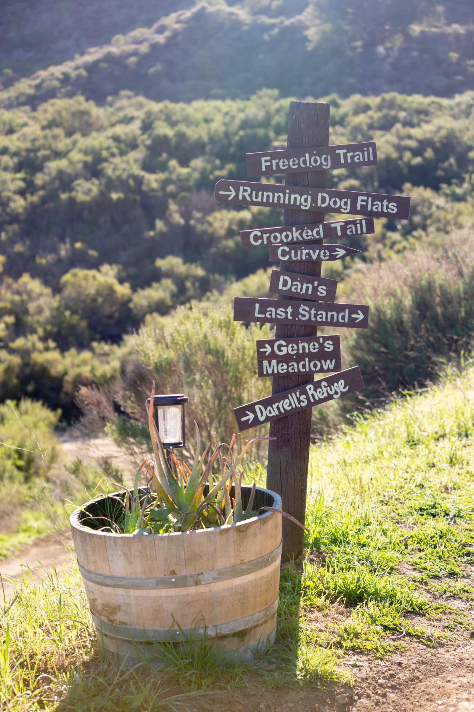 Freedog Farms @ Cactus Flower Ranch - Gaviota, California - glamping.directory