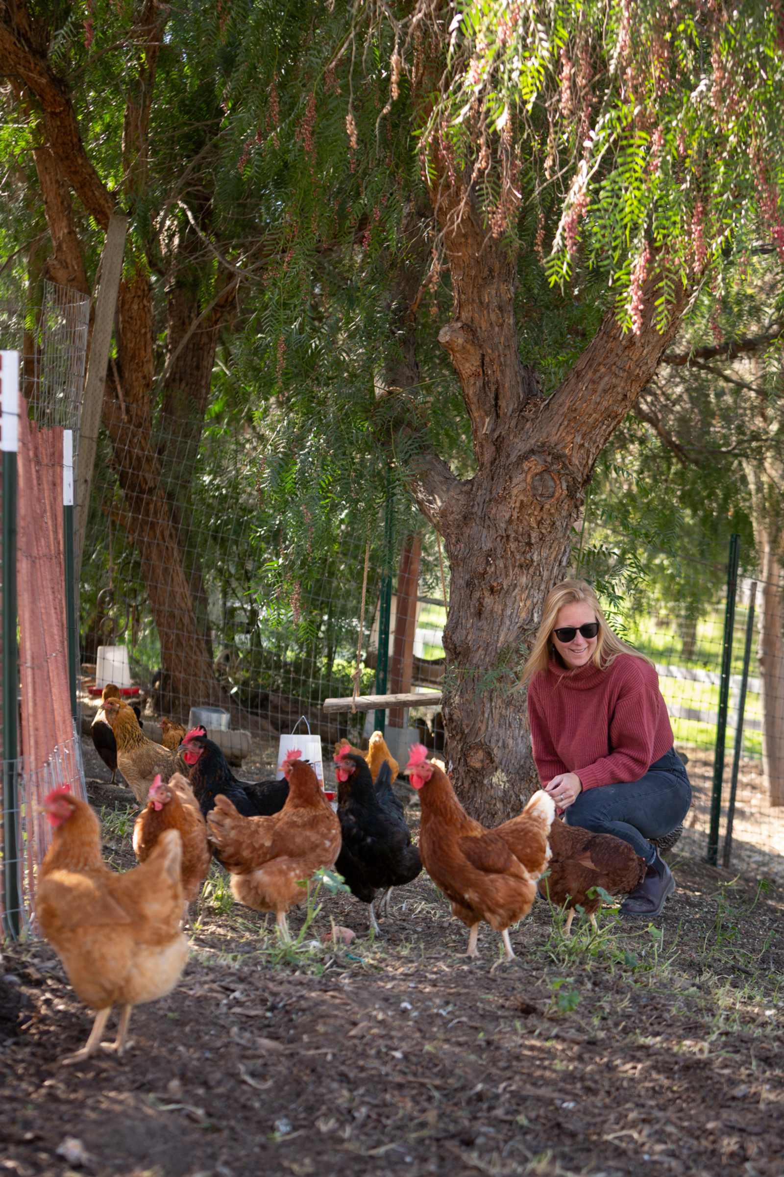 Freedog Farms @ Cactus Flower Ranch - Gaviota, California - glamping.directory