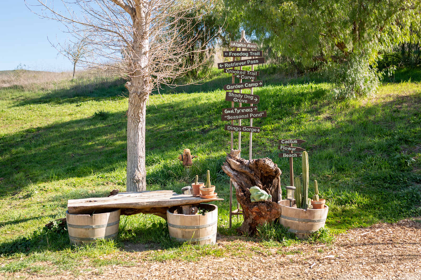 Freedog Farms @ Cactus Flower Ranch - glamping.directory