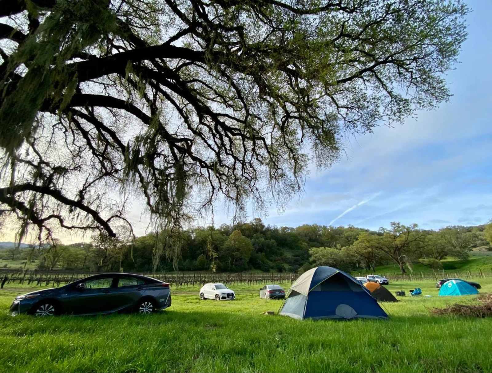 Duncan Peak Vineyards - glamping.directory
