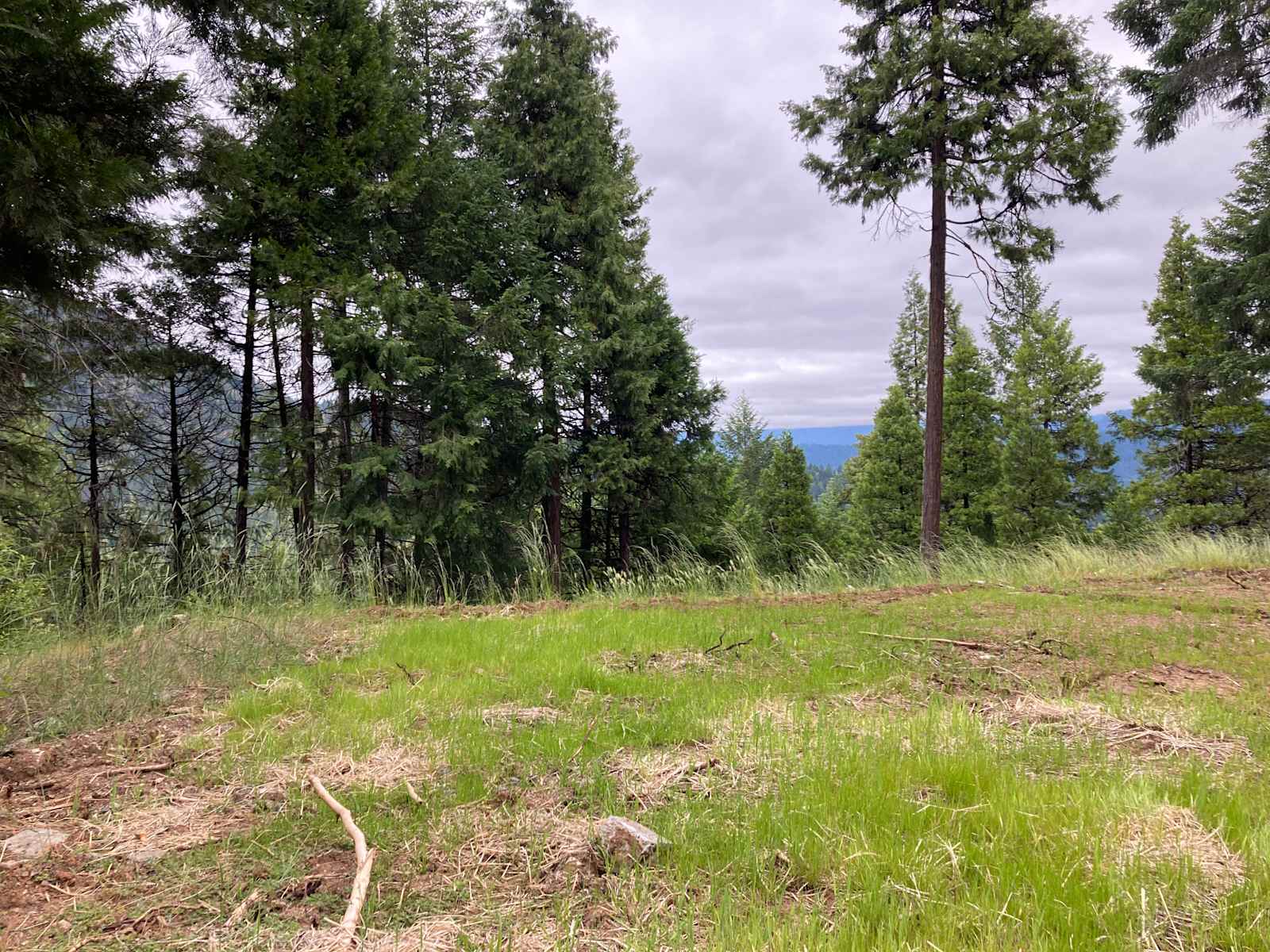 Sugar Pine Camp & Cabin - Willow Creek, California - glamping.directory