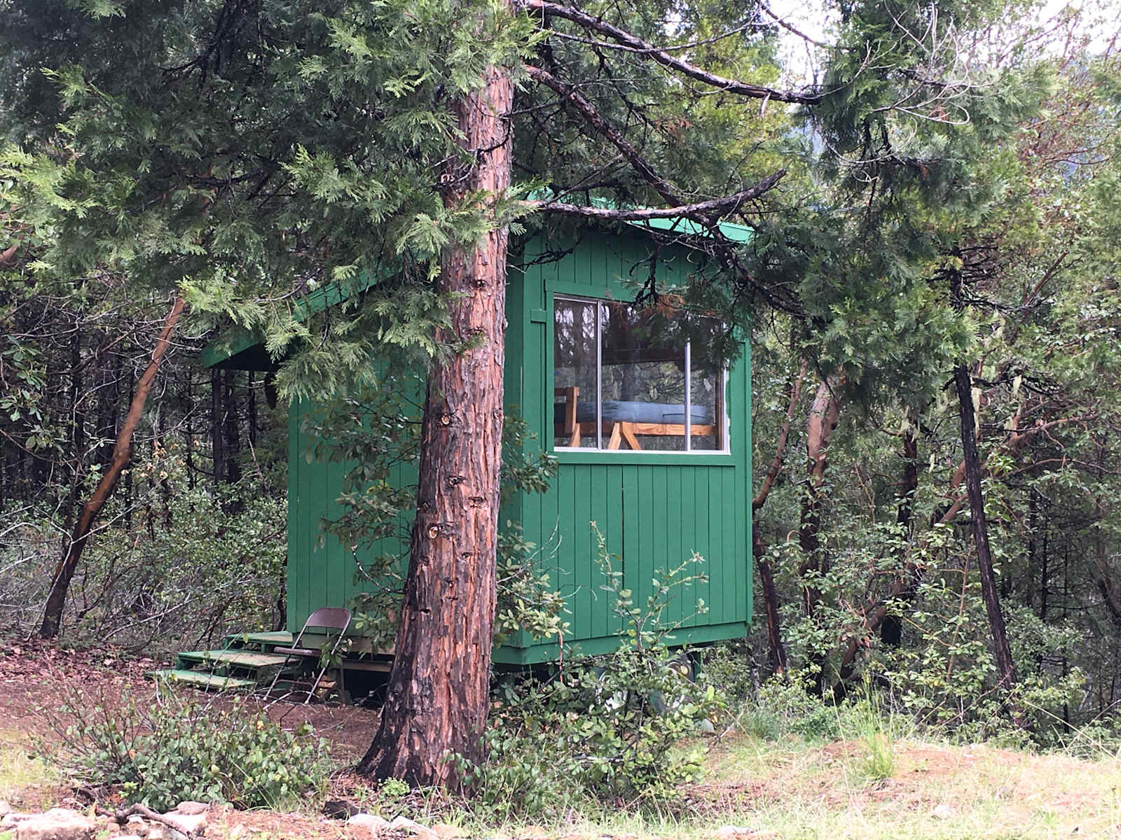 Sugar Pine Camp & Cabin - Willow Creek, California - glamping.directory