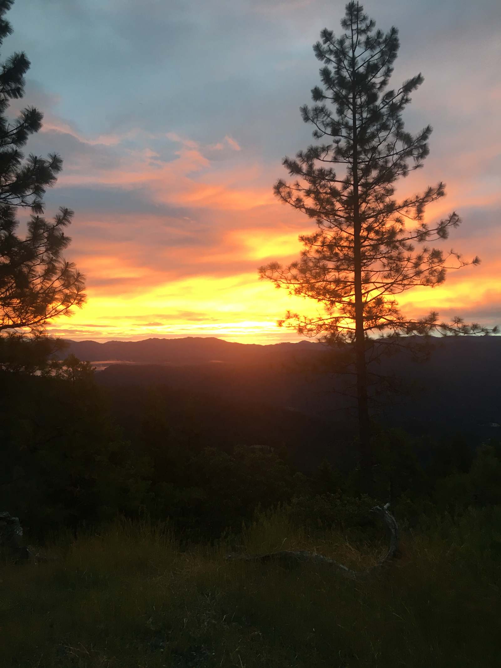 Sugar Pine Camp & Cabin - glamping.directory