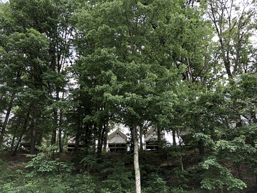 Luxury Tent Rental in the Great Smoky Mountains of Pigeon Forge, Tennessee - Pigeon Forge, Tennessee - glamping.directory
