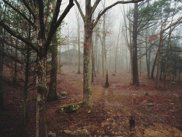 Romantic Woodland Cabin Getaway near Charleston, West Virginia - Peterstown, West Virginia - glamping.directory
