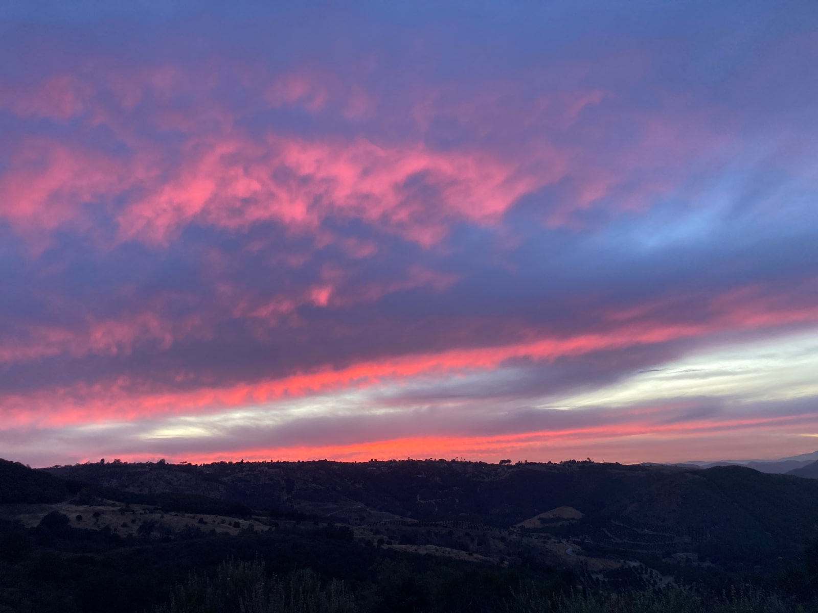 Avocado Farm Retreat - Valley Center, California - glamping.directory