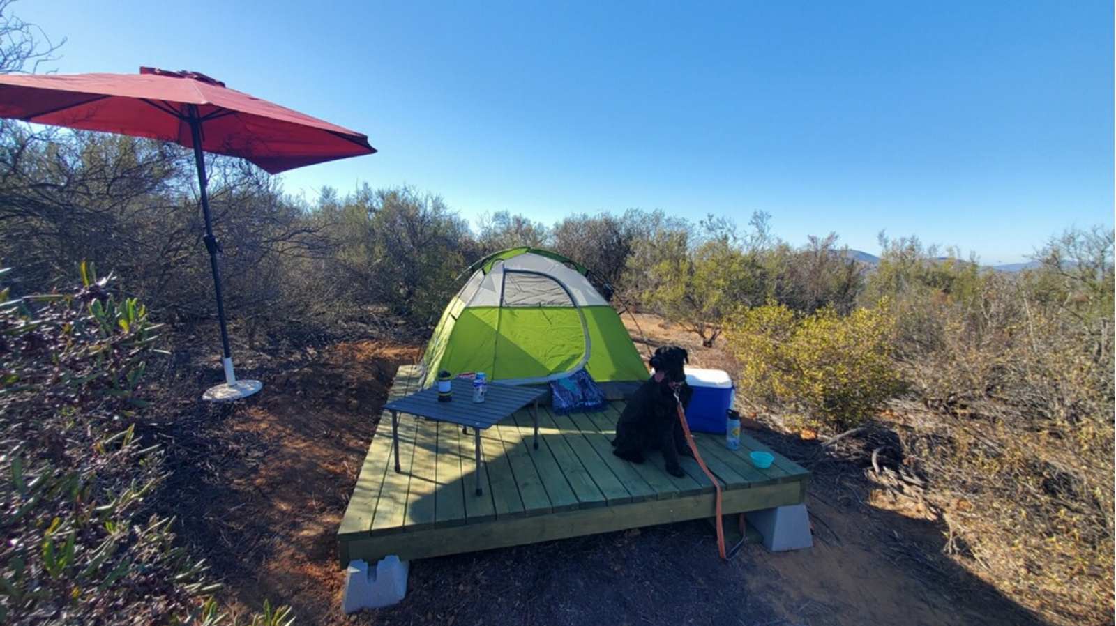 Avocado Farm Retreat - Valley Center, California - glamping.directory