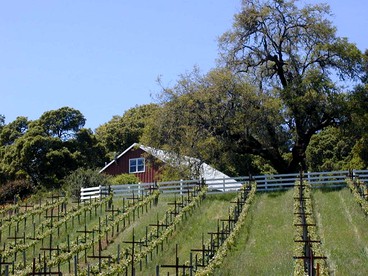 Vacation Rental with Spa and Pool on Winery near Healdsburg, California - glamping.directory