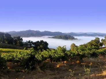 Vacation Rental with Spa and Pool on Winery near Healdsburg, California - Cloverdale, California - glamping.directory