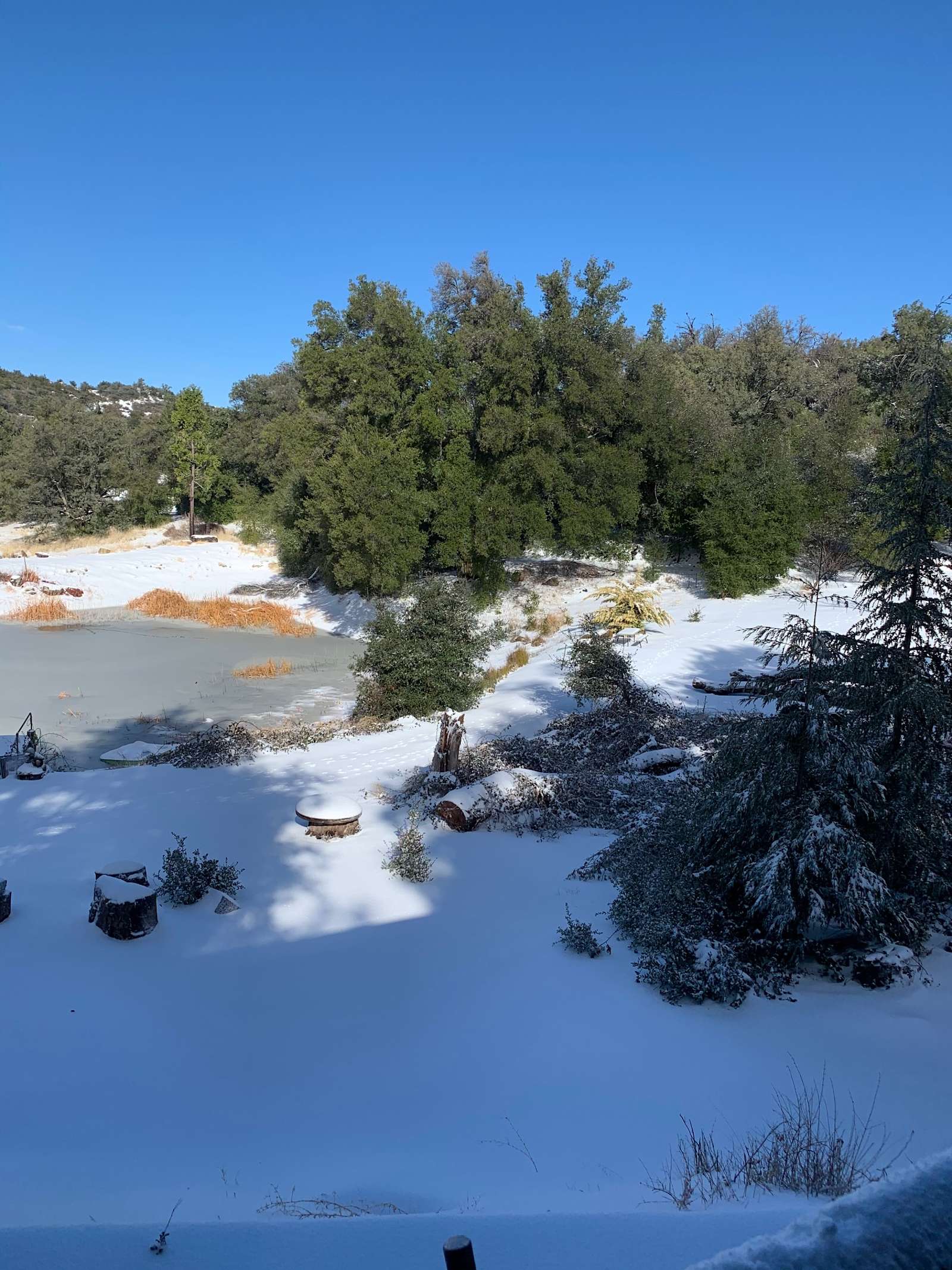 Taste of Nature and Wildlife - Julian, California - glamping.directory