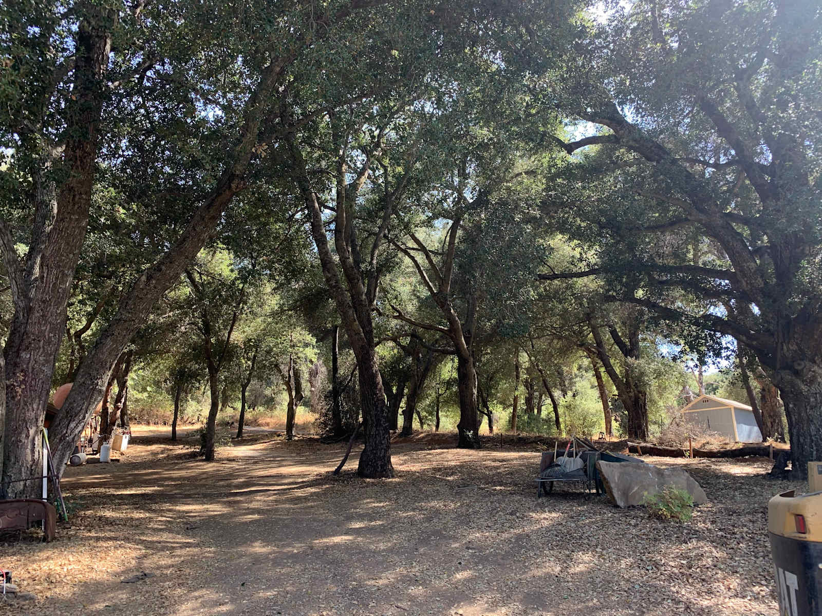 Taste of Nature and Wildlife - glamping.directory