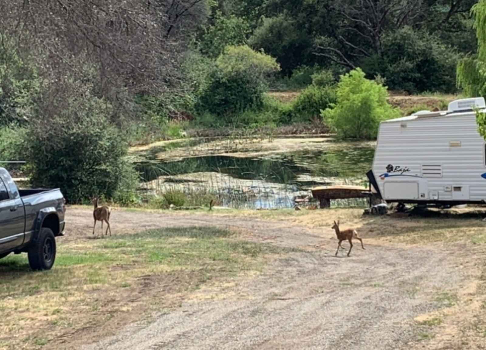 Taste of Nature and Wildlife - Julian, California - glamping.directory