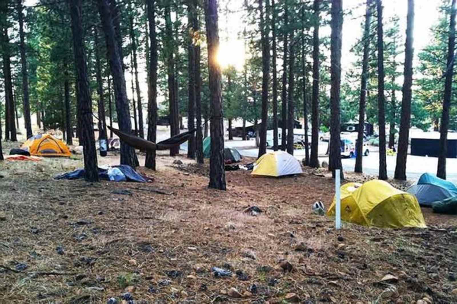 Hawk's Nest RV & Cabin Park - Tulelake, California - glamping.directory