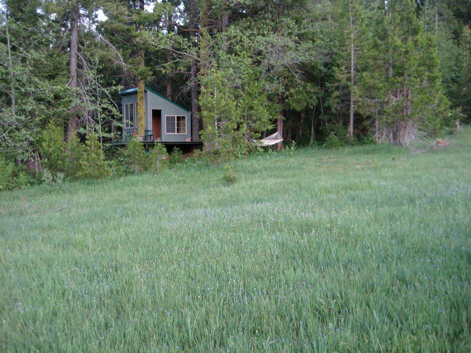 ShastaView - Weed, California - glamping.directory