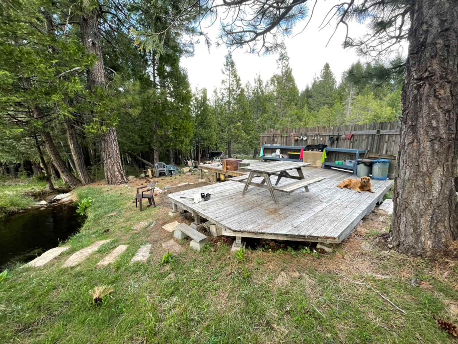 ShastaView - Weed, California - glamping.directory
