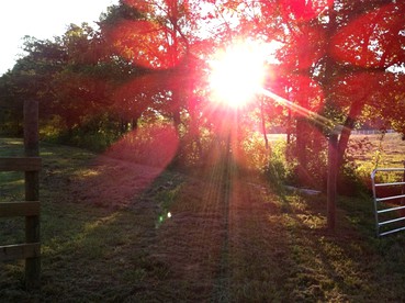 Rustic Cabin on a Woodland Farm in Tellico Plains, Tennessee - Tellico Plains, Tennessee - glamping.directory